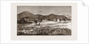 The Plague Of Rats In Burmah, Burma by Anonymous