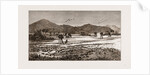 The Plague Of Rats In Burmah, Burma by Anonymous