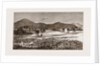 The Plague Of Rats In Burmah, Burma by Anonymous