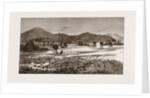The Plague Of Rats In Burmah, Burma by Anonymous