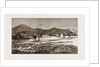 The Plague Of Rats In Burmah, Burma by Anonymous