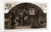 The Land Agitation In Ireland, 1881 by Anonymous