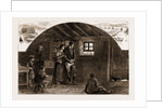 The Land Agitation In Ireland, 1881 by Anonymous