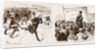 The Land Agitation In Ireland by Anonymous