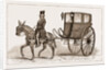 The caleza, Or Old-fashioned Carriage Of The Country by Anonymous