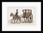 The caleza, Or Old-fashioned Carriage Of The Country by Anonymous