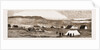 View Of Standerton, Transvaal by Anonymous