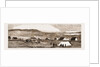 View Of Standerton, Transvaal by Anonymous