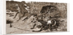 Boar-hunting In India, 1881: back Through The Beaters by Anonymous