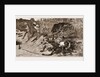 Boar-hunting In India, 1881: back Through The Beaters by Anonymous