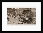 Boar-hunting In India, 1881: back Through The Beaters by Anonymous