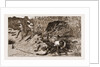 Boar-hunting In India, 1881: back Through The Beaters by Anonymous
