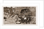 Boar-hunting In India, 1881: back Through The Beaters by Anonymous