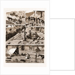 Deer Hunting In The coast Range Mountains by Anonymous