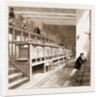 Opening Of The New Wing Of University College, London by Anonymous