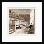 Opening Of The New Wing Of University College, London by Anonymous