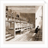 Opening Of The New Wing Of University College, London by Anonymous