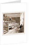 Opening Of The New Wing Of University College, London by Anonymous