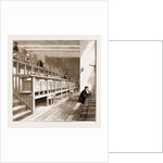 Opening Of The New Wing Of University College, London by Anonymous