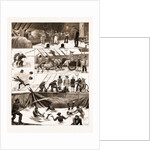 With The Flying Squadron, crossing The Line by Anonymous