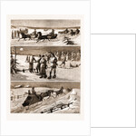 Winter Sports At Halifax, Nova Scotia by Anonymous