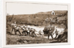 The Revolt In The Transvaal, South Africa by Anonymous