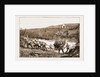 The Revolt In The Transvaal, South Africa by Anonymous