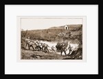 The Revolt In The Transvaal, South Africa by Anonymous
