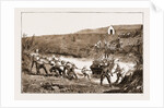 The Revolt In The Transvaal, South Africa by Anonymous