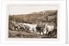 The Revolt In The Transvaal, South Africa by Anonymous