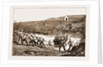 The Revolt In The Transvaal, South Africa by Anonymous