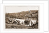The Revolt In The Transvaal, South Africa by Anonymous
