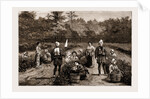 Tea Gathering In Japan, 1881 by Anonymous