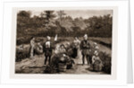 Tea Gathering In Japan, 1881 by Anonymous
