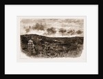The Rising In The Transvaal, South Africa: After The Battle: Summit Of Majuba Mountain by Anonymous