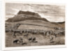 The Negotiations In The Transvaal, South Africa by Anonymous
