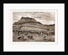 The Negotiations In The Transvaal, South Africa by Anonymous