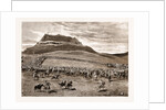 The Negotiations In The Transvaal, South Africa by Anonymous