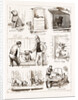 Notes At The Bulldog Club's Seventh Grand Show, 1881 by Anonymous