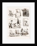 Notes At The Bulldog Club's Seventh Grand Show, 1881 by Anonymous