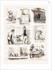 Notes At The Bulldog Club's Seventh Grand Show, 1881 by Anonymous