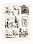 Notes At The Bulldog Club's Seventh Grand Show, 1881 by Anonymous