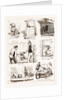 Notes At The Bulldog Club's Seventh Grand Show, 1881 by Anonymous