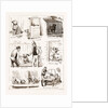 Notes At The Bulldog Club's Seventh Grand Show, 1881 by Anonymous