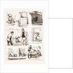 Notes At The Bulldog Club's Seventh Grand Show, 1881 by Anonymous