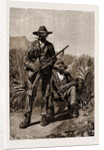 The Late Rising In The Transvaal, South Africa by Anonymous