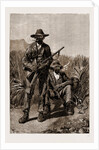 The Late Rising In The Transvaal, South Africa by Anonymous