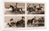 The Sporting Parsee At A Hog Hunt: Going To The Meet by Anonymous