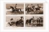 The Sporting Parsee At A Hog Hunt: Going To The Meet by Anonymous