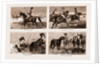 The Sporting Parsee At A Hog Hunt: Going To The Meet by Anonymous